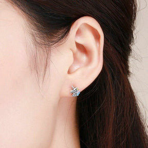 Boucles D'oreilles En Argent De Licorne
